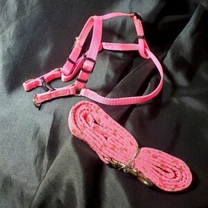 Tuff Harness and leash